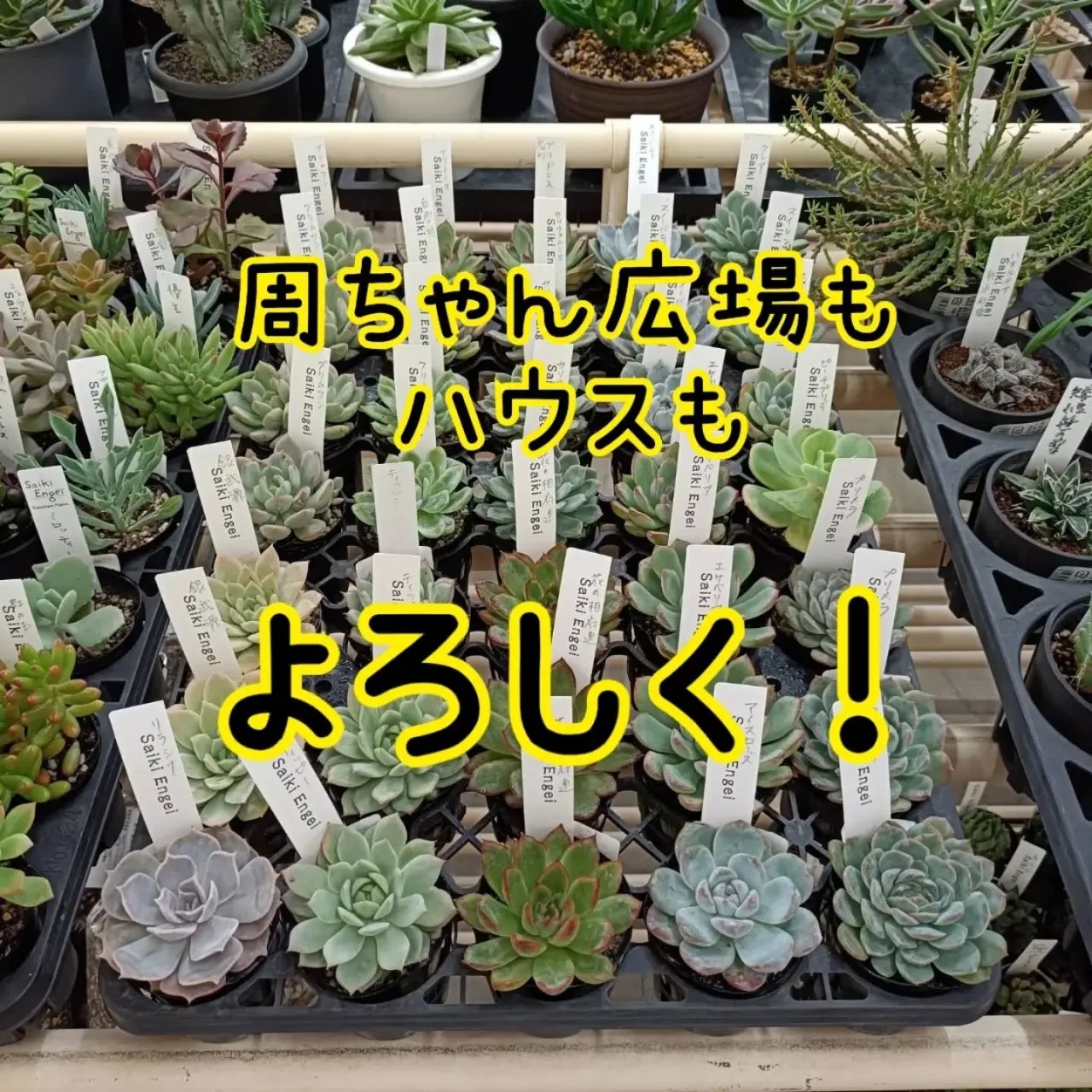 おはようございます☀
